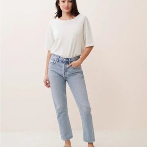 Agolde Riley High Rise Straight Crop in Dimension